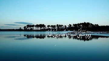(وَيَوْمَ يَعَضُّ الظَّالِمُ عَلَىٰ يَدَيْهِ) تلاوة تدبرية - عبد الحميد صابر