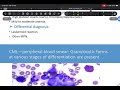 Pathology: MPN & MDS