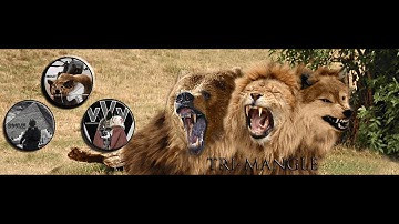 Tri-mangle: Awesomenauts Episode 1