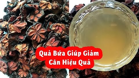 Quả Bứa Giúp Giảm Cân Hiệu Quả Và Mua Quả Bứa Ở Đâu