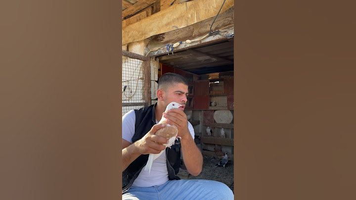 اعمل نفسك ميت 😂نزار الحموي 🤣#shorts