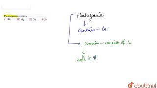 Plastocyanin contains