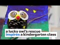 Top 10 Victories for Animals in 2022 | #7: A lucky owl’s rescue inspires a kindergarten class