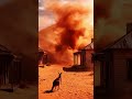 Exploring the forgotten ghost towns reclaimed by the harsh Australian Outback desert