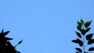 Daytime Iridium Flare, 2012-07-18 17:15:54