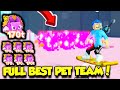 FULL TEAM Of The NEW BEST DARK MATTER MYTHICAL In Pet Simulator X! (Roblox)