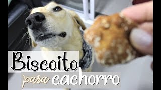 biscoito caseiro para cachorro receita