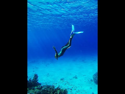 جلسة كوتشينج قصيرة اتفاقية الجلسة 