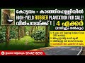 Profitable RUBBER plantation for sale in Kanjirappally, Kottayam | 9744278293 | 35 lakhs / acre