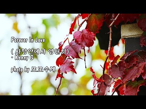 Forever In Love (사랑안에서 영원히)/<strong>Kenny</strong> <strong>G</strong> &amp;amp; photo by 모모수계
