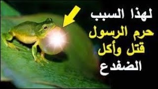 اسرار لايعلمها الكثير من المسلمين عن الضفدع