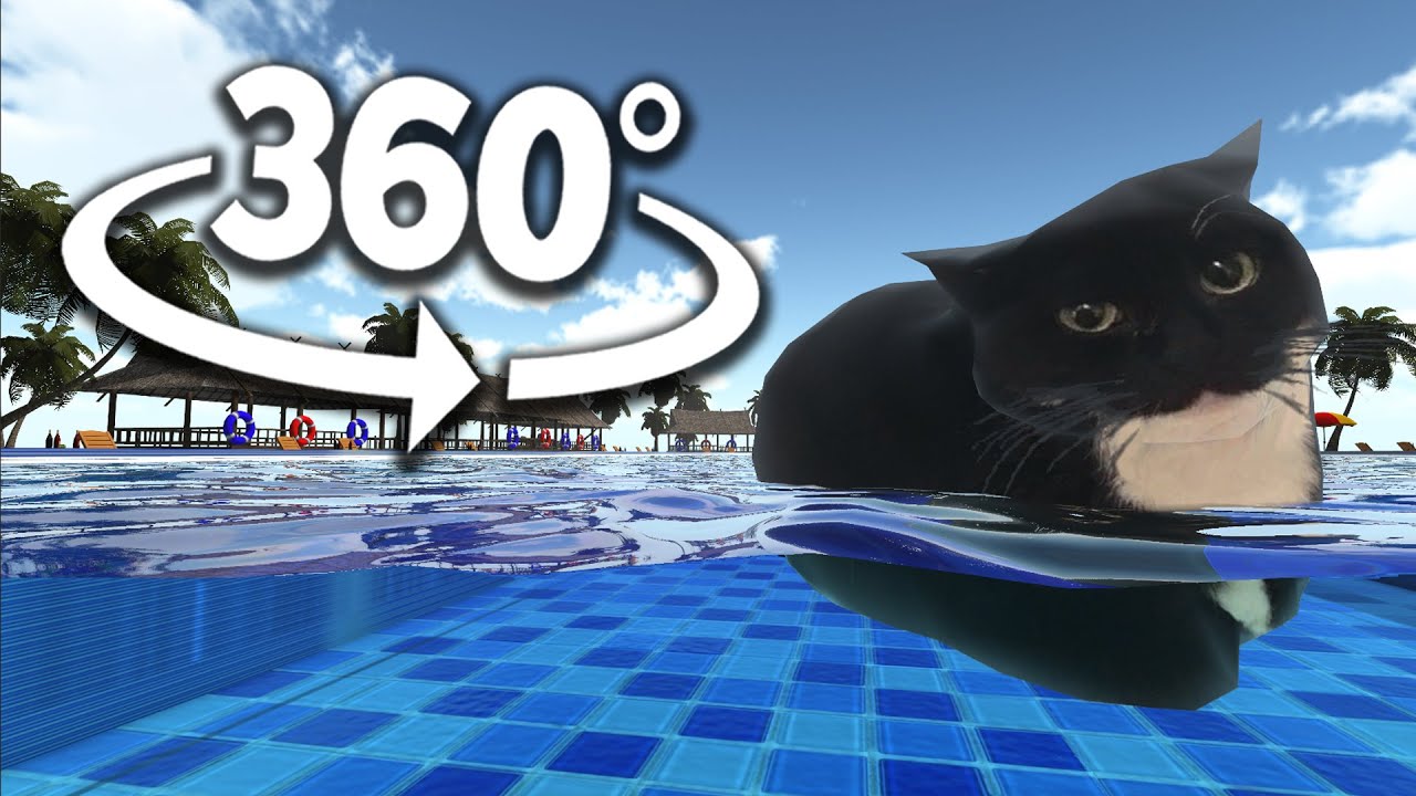 Maxwell The Cat 360° SWIMMING VR/360° Experience YouTube