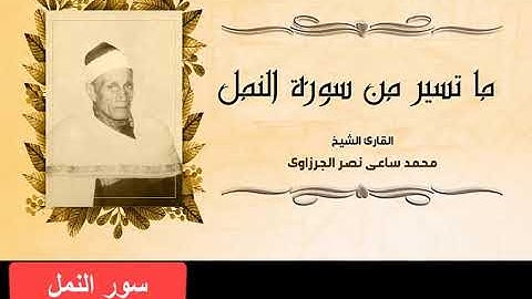 الشيخ محمد ساعى نصر الجرزاوى | سورة النمل