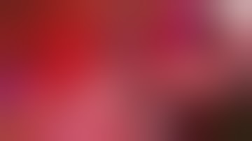 DEAD OR ALIVE 6 - The Regeneration Of Brutality