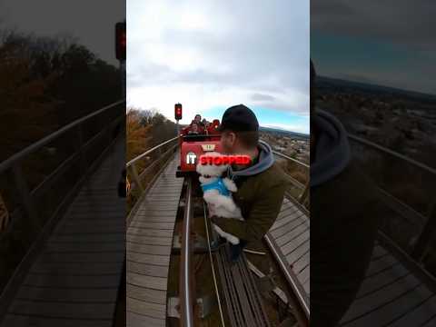 😱This Man Saved A Dog On A Roller Coaster And Then... 🐩🎢