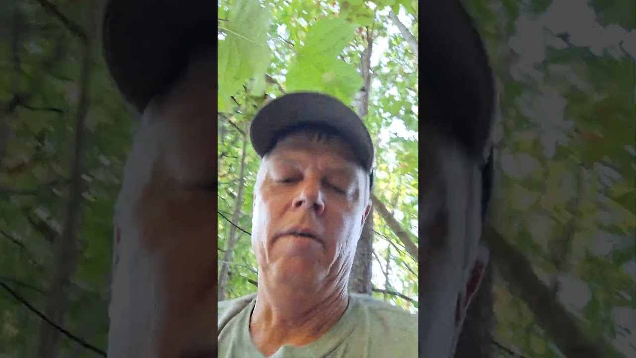 In God fishing caught a Longear Bluegill Bream drainage pond deep in the woods at Margaret Alabama