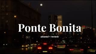 Ponte Bonita  Cris Mj slowedreverved pontebonita crismj 
