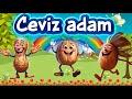 🔴 Ceviz adam şip şap şop Eğlenceli çocuk bebek şarkısı Çizgi filmi
