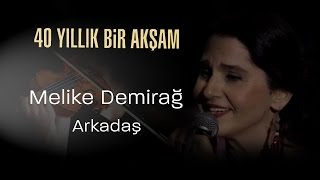 Melike Demirağ, Arkadaş - 40 Yıllık Bir Akşam Resimi