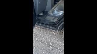 Why Colorado Police Put a Rattlesnake in Their Patrol Car