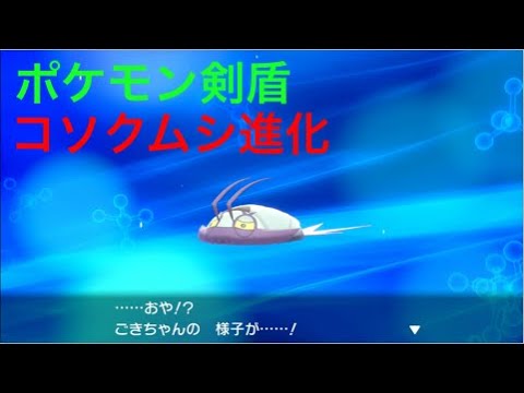 ソードシールド コソクムシの種族値 わざ 特性など能力と入手方法 ポケモン剣盾 攻略大百科