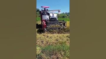 Thumbnail of YANMAR AW70GV HARVESTER paddy cutting  MACHINE viral video my channel please  subscribe