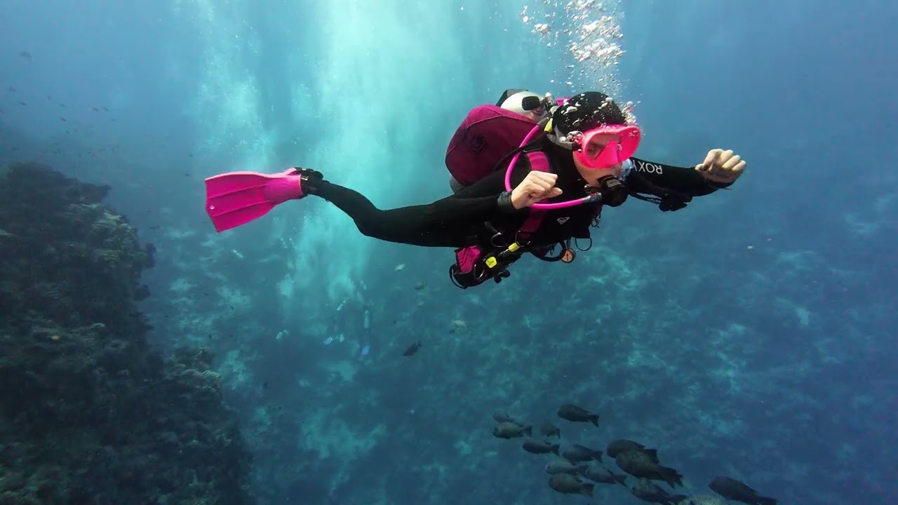 Red Sea Diving Safari Egypt 2025 – Wrecks & Northern Reefs | Part 2