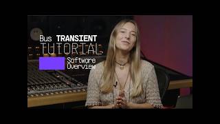 Учебное пособие | Bus TRANSIENT — Обзор | Arturia