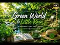 The Most Beautiful Relaxing Guitar & Kalimba Melodies for Healing