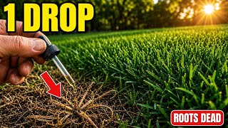 1 Drop of This Melts Crabgrass to the Roots — But Leaves Turf Perfectly Green