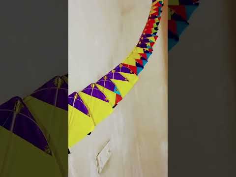 Makar Sankranti #kite #kitefestival #status @uniquecraftideas1581