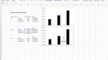 How to copy the format of one graph to another in Excel