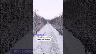 Download Lagu Klaag je over de kou? Check dan dit even MP3