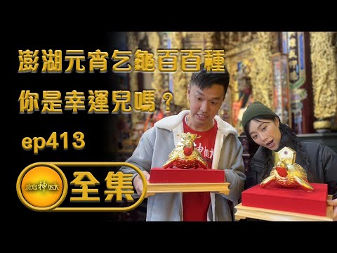 【澎湖元宵乞龜百百種 你是幸運兒嗎?】|ep.413