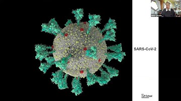 Free Workplace Health and Safety Virtual Series: Covid-19, the Delta Variant and the Return to Work