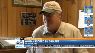 Woman Cited for Climbing into Zoo's Giraffe
