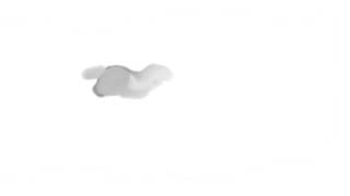 animation practice ~ small bird 2
