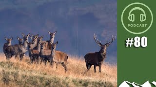 Are we in danger of wiping out our deer – FieldsportsChannel Podcast, episode 80