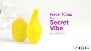 CalExotics Neon® Vibes The Secret Vibe