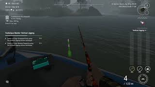 Vertical jigging at Dnipro - Europian Perch