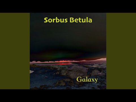 Android (Single Edit) auf YouTube ansehen Android (Single Edit) auf YouTube ansehen