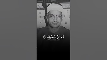 سورة الواقعة 🎧 رواية قالون عن نافع (ربما) #المنشاوي #محمد_صديق_المنشاوي #القران_الكريم