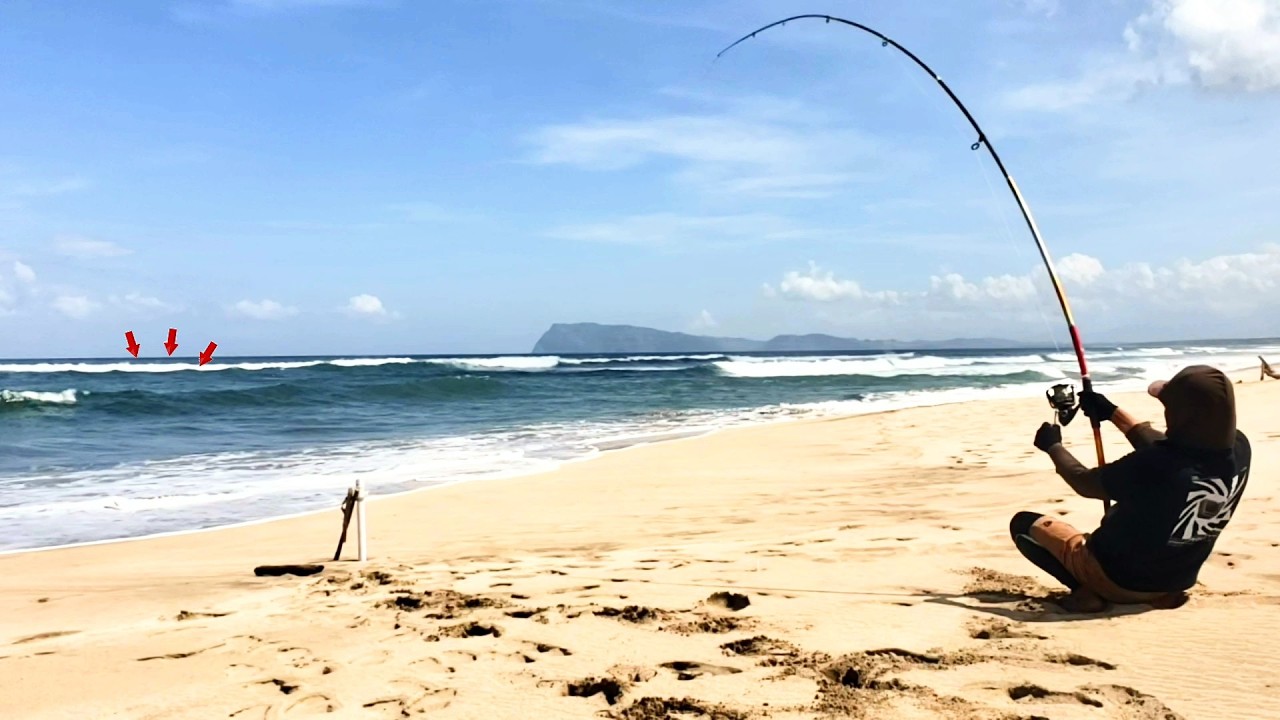MANCING PASIRAN MELAWAN IKAN BESAR SEORANG DIRI INI SANGAT MELELAHKAN
