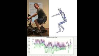 IMU Driven OpenSim: Stationary Bike Net Worth