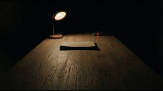 Something Keeps Putting Things Back