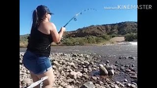 Salt River FISHING Collaboration! Nice CATFISH on Cut bait and Shrimp