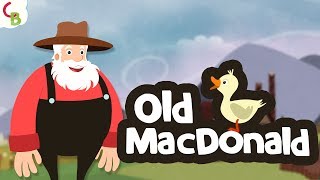 Old MacDonald had a Farm - Nursery Rhymes Songs for Babies and Kids | Cuddle Berries Children Rhymes