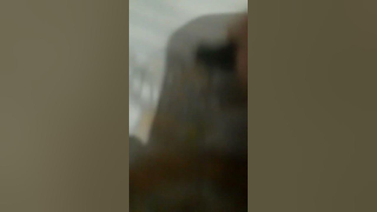 dezeio - YouTube