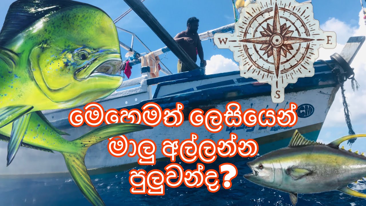 වන්නො උස්සල දන්නෙ බනන්න .fish hunters