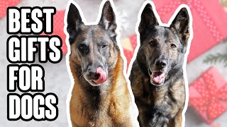The Absolute Best Gifts for Dogs -2020